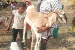 Bihar Sustainable Livelihood Development