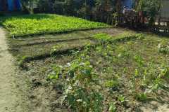 Bihar Sustainable Livelihood Development