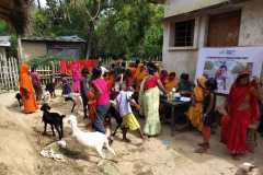 Bihar Sustainable Livelihood Development
