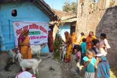 Bihar Sustainable Livelihood Development