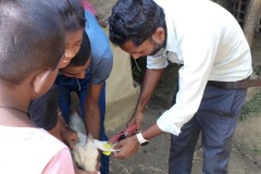 Bihar Sustainable Livelihood Development