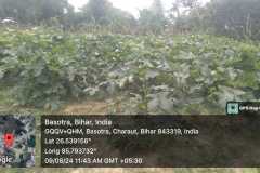 Bihar Sustainable Livelihood Development