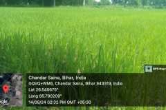 Bihar Sustainable Livelihood Development