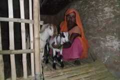 Bihar Sustainable Livelihood Development