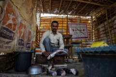 Livelihood Activities