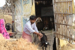 Livelihood Activities