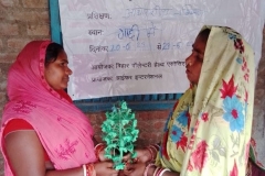 Livelihood Activities