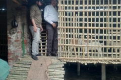 Livelihood Activities