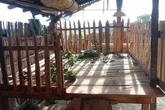 Livelihood Activities