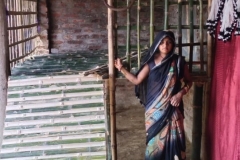 Livelihood Activities