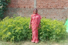 Livelihood Activities