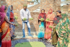 Livelihood Activities