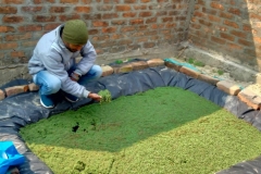 Livelihood Activities