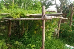 Livelihood Activities