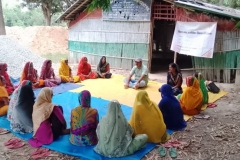 Livelihood Activities