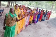 Livelihood Activities