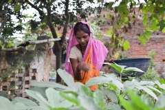 Tackling Malnutrition