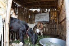 Tackling Malnutrition